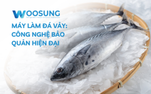 Máy làm đá vảy: Công nghệ bảo quản hiện đại