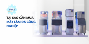 Máy làm đá viên công nghiệp tại sao cần?