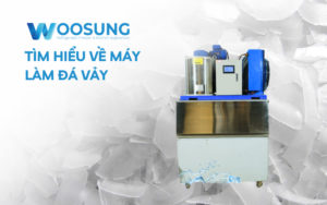 Tìm hiểu về máy làm đá vảy